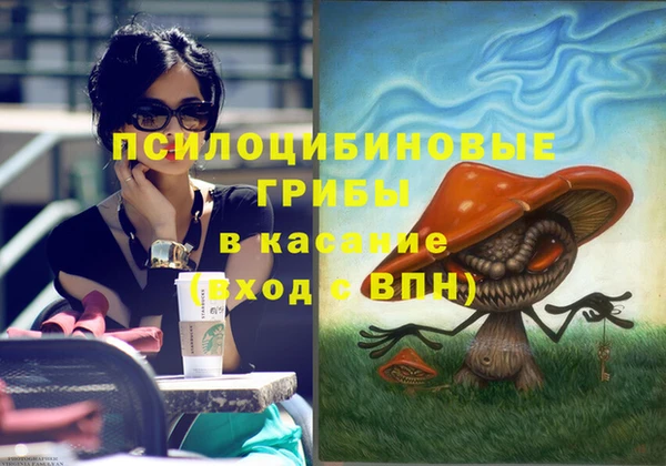 ГАЛЛЮЦИНОГЕННЫЕ ГРИБЫ Волоколамск
