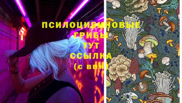 ГАЛЛЮЦИНОГЕННЫЕ ГРИБЫ Волоколамск